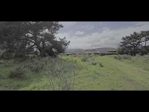 video image