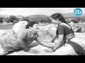 Maavi Chiguru Song Seetha Mahalakshmi Movie Songs ChandraMohan Talluri Rameswari