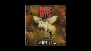Mr. Big - I Won't Get in My Way