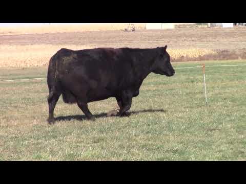 V D A R Lass 9732 10/17