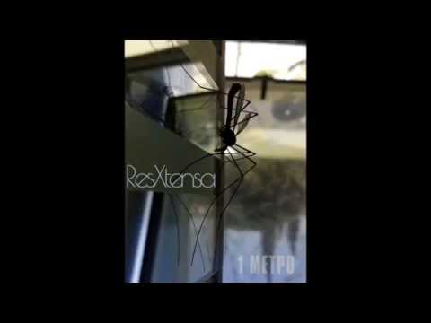 ResExtensa - Ένα Μέτρο