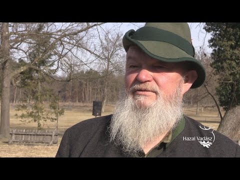 28. KASZÓ KUPA - Országos Véreb Fővizsga - Interjú Zilai János ny. fővadásszal - 2017.02.25-26.