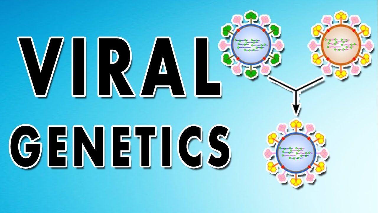 Reassortment, Phenotypic mixing, Recombination and Complementation