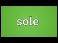 Sole Meaning