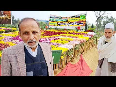 Lala mehfooz Rose Garden 4