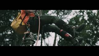 Preview of Poplar removals with GM Lifting.