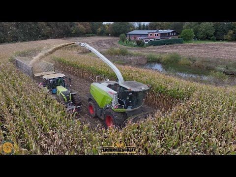 Hier kann der Jaguar 980 seine volle Leistung Entfalten 3 Meter Mais & 45T/HA LU Barkmann Maisernte