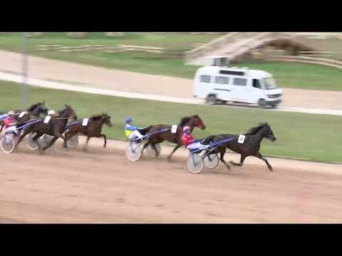 2022.04.30. 05. futam - FOREST SUN DÍJ