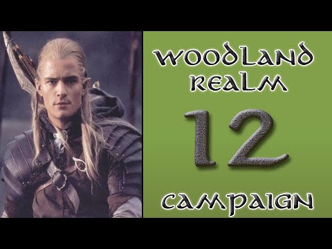 TATW: DaC V2.2 Woodland Realm TWC: 12 - Dwarven bridge vs Hin e-Daur