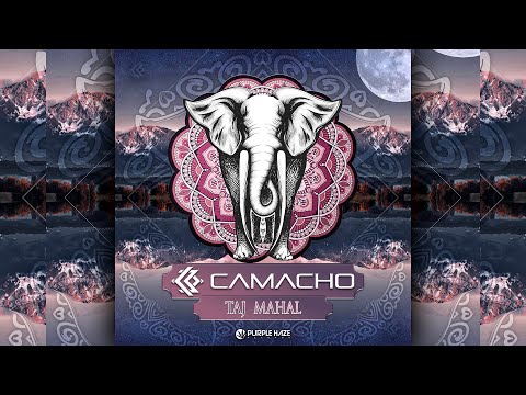 Henrique Camacho - Taj Mahal [185 BPM] (free download)