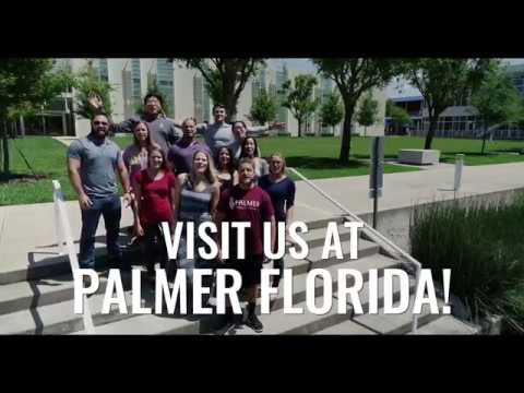 download lagu mp3 mp4 Palmer Chiropractic Florida, download lagu Palmer Chiropractic Florida gratis, unduh video klip Palmer Chiropractic Florida