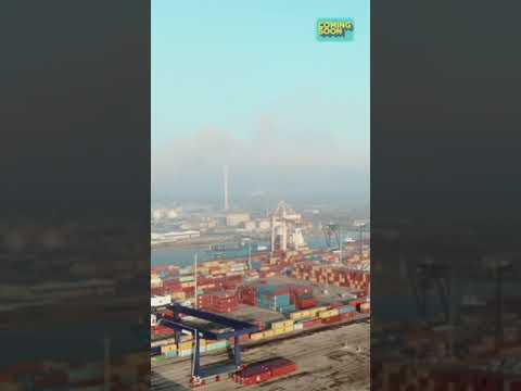 Kuwait is importing Cowdung from India #shorts