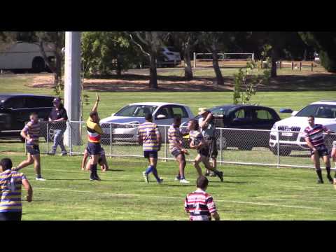 4th Grade 2015 Season Recap