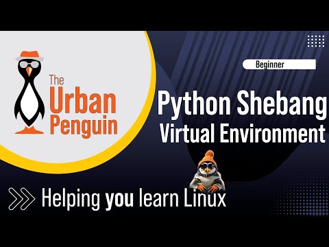 Setting The Correct Python Shebang For A Virtual Environment