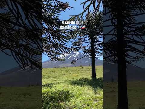 Chile es un paraíso, suscríbete!🇨🇱💫 #surdechile #pucon #chile #rosalia #araucania