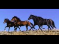 Alexander Rybak "13 horses " (lyrics in the info ...