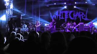 Whitechapel LIVE I, Dementia - Brutal Assault, Czech Republic 2013