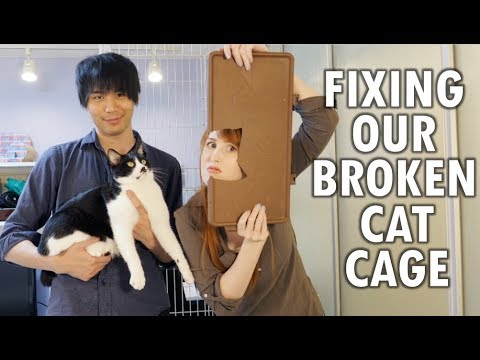 壊れた我が家の猫用ケージを直す（猫たちの助けを借りて (Fixing our broken cat cage (with our cats' help!))