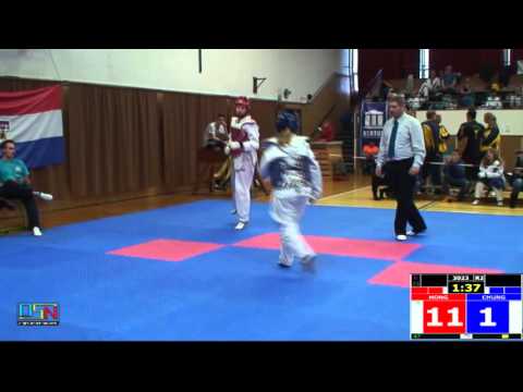 323- ANNA VLACHOVA, KANGSIM DOJANG (CZE) vs. ALICE ANDERLOVA, CESKE BUDEJOVICE - GEPARD (CZE)