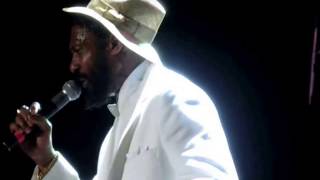 Super Cat Dolly My Baby Sting 2013