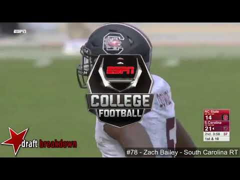 Zack Bailey (South Carolina OT) vs NC State 2017