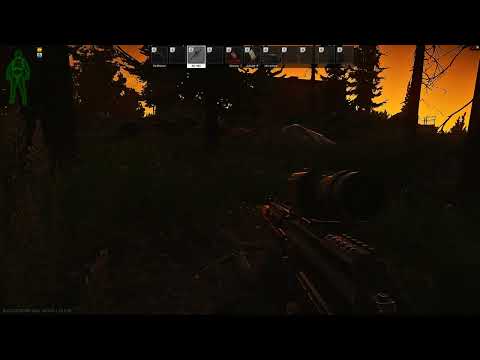 bugged bush spot on shoreline