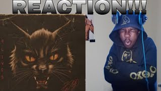 COUNTRY ROCK!!| Koe Wetzel - 9 Lives (Black Cat) REACTION!!!