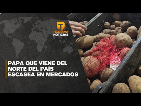 Papa que viene del norte del país escasea en mercados