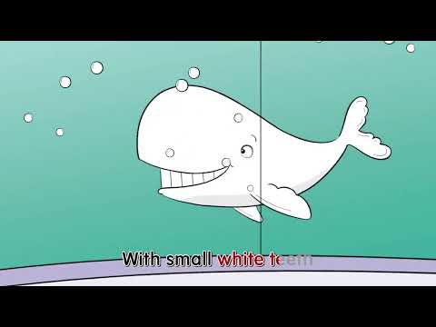 Sounds Great 2nd Edition 4 Unit8 Chant