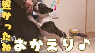 ママの帰りが待ち遠しい愛犬🐶