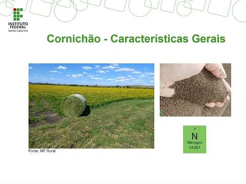 Forrageiras: Dona Emma e Cornichão