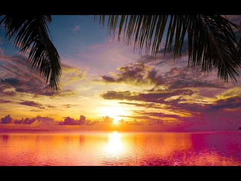 Summer / Beach / Ibiza (summer tunes mixed by Type) Ep. 7 - Progressive House Mix 2016