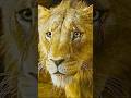 Why Did Scar REALLY Save Mufasa In Mufasa The Lion King Shorts Disney