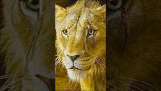 Download lagu Why Did Scar REALLY Save Mufasa in Mufasa The Lion King? #shorts #disney mp3
