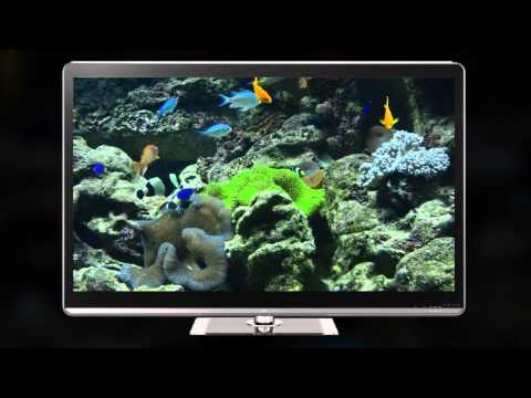 Aquariums on TV via Chromecast Video