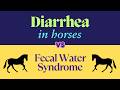 Diarrhea In Horses Vs Fecal Water Syndrome