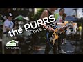 The Purrs - “She's Gone” (Live at Porchfest 7-20-2024)
