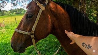 2 dias sem celular mudaram meu cérebro