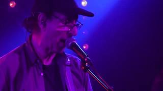 Wire - Ex Lion Tamer (Live)