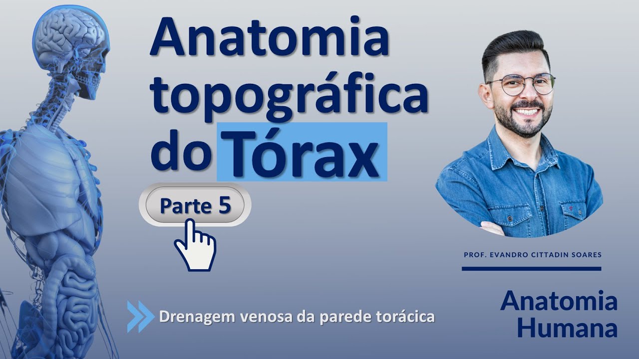 ANATOMIA TOPOGRÁFICA DO TÓRAX -  PARTE 5  - DRENAGEM VENOSA DA PAREDE TORÁCICA