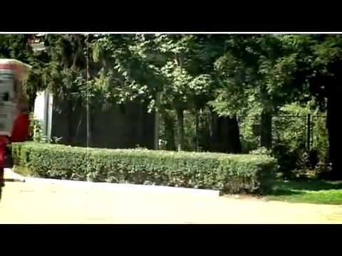 Nicoleta Guta si Play AJ - Ce mult te iubesc