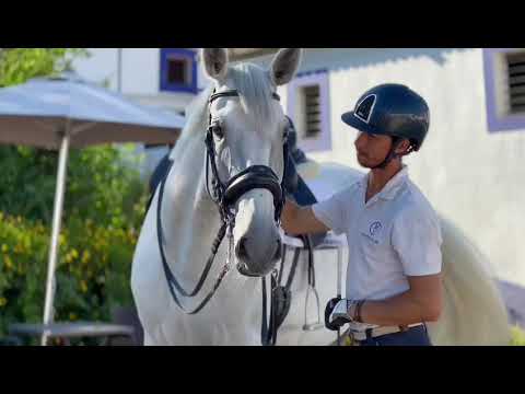 João Torrão & Lufada MVL - Training Session - 2022-07-08 Monte Velho