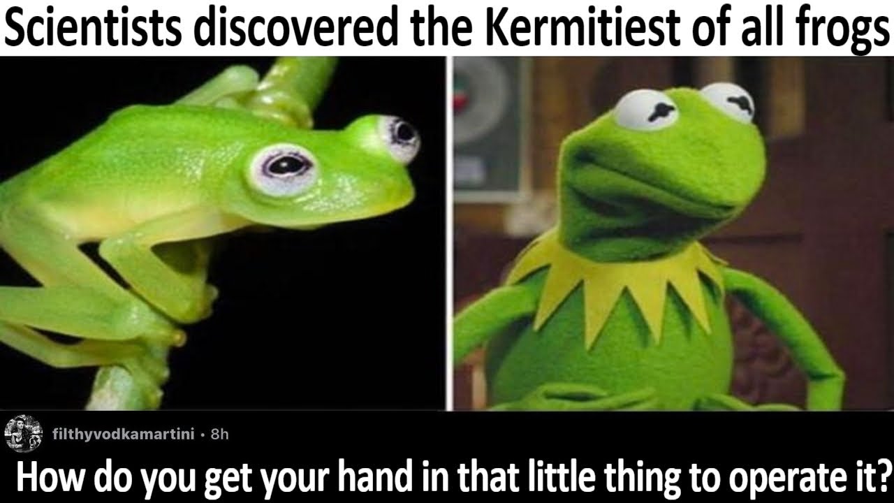 r/CursedComments - Funny Posts V1