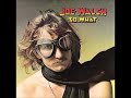 Joe Walsh   All Night Laundry Mat Blues with Lyrics in Description