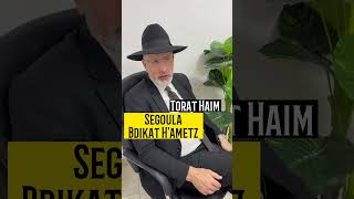 Segoula Recherche du H’ametz #pessah #segoula