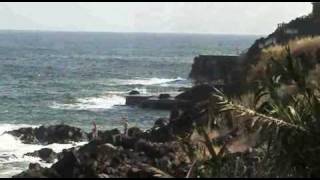 preview picture of video 'Blumeninsel Madeira - Caniço de Baixo'
