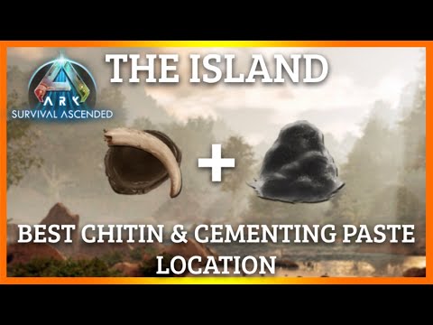 Chitin Cave The Island