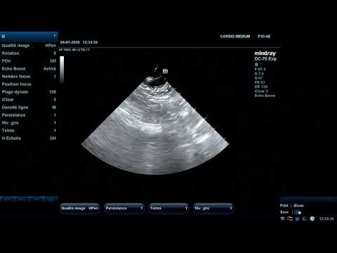 HappyVet Private training  met Dr. Laurent Locquet