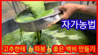 고추한테 
