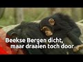 Een kijkje achter de gesloten deuren van Safaripark de Beekse Bergen